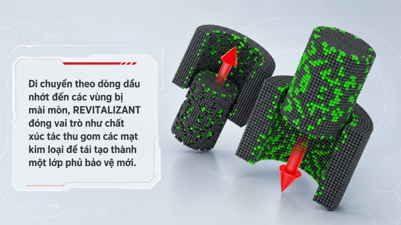 Công nghệ phục hồi Revitalizant: Cơ chế hoạt động và phiên bản nâng cấp Atomic Revitalizant (RF) 12 cong nghe phuc hoi atomic revitalizant rf 22 2 9